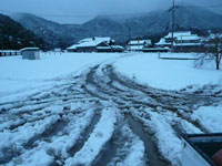 2017年1月18日（水）渡船たかし丸（釣果）