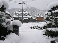 2017年1月22日（日）渡船たかし丸（釣果）