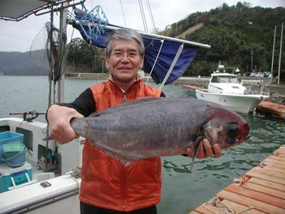 2011年4月2日（土）若狭湾でメダイの68cmを釣られました