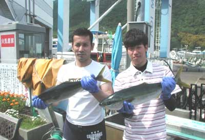 2011年5月15日（日）若狭湾でハマチの60cmを釣られました