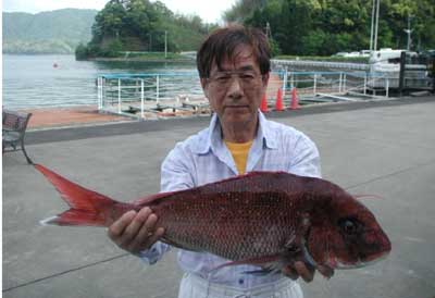 2011年5月21日（土）若狭湾で鯛の60cmを釣られました