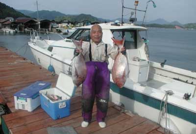 2011年5月25日（水）若狭湾で鯛の71cmを釣られました