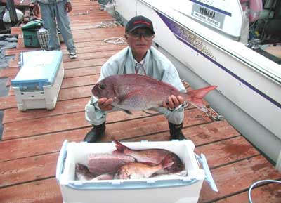 2011年6月5日（日）若狭湾で鯛の70cmを釣られました