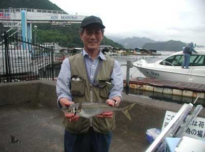 2011年7月7日（木）若狭湾で鯵の40cmmを釣られました