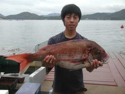 2011年9月17日（土）若狭湾で鯛の74.0cmを釣られました