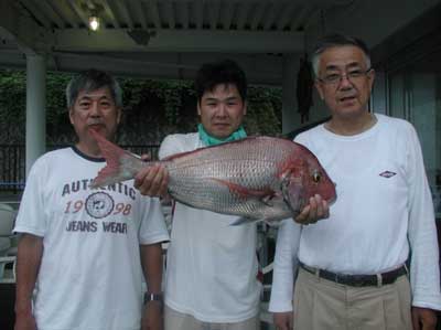 2011年9月18日（日）若狭湾で鯛の71cmを釣られました