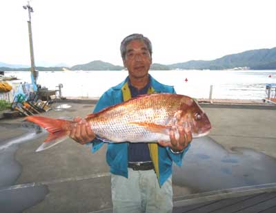 2011年9月26日（月）若狭湾で鯛の71.0cmを釣られました