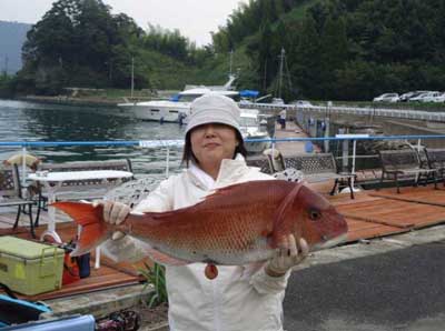 2011年10月9日（日）若狭湾で鯛の77.0cmを釣られました