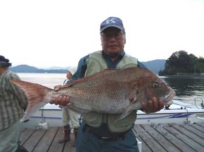 2011年10月20日（木）若狭湾で鯛の80cmを釣られました