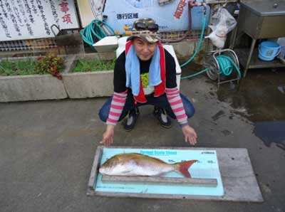 2011年11月2日（水）若狭湾で鯛の75.0cmを釣られました