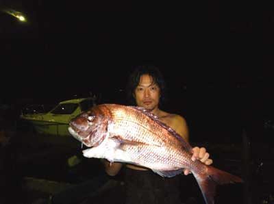 2011年11月4日（金）若狭湾で鯛の75cmを釣られました