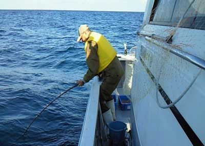 2011年11月14日（水）若狭湾でメダイの82cmを釣られました