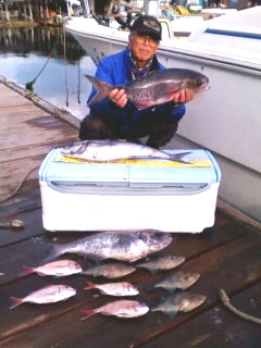 2012年1月16日（月）若狭湾でメダイを釣られました