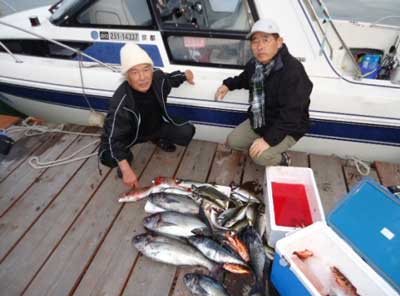 2012年3月1日（木）若狭湾でメダイや鯵を釣られました