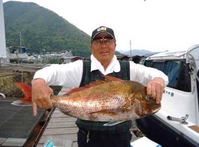 2012年4月25日（水）若狭湾で鯛を釣られました