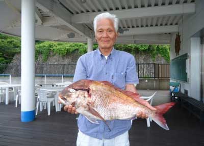 2012年6月7日（木）若狭湾で鯛の70cmを釣られました