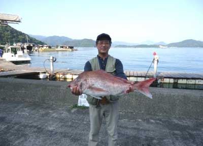 2012年7月30日（月）若狭湾で鯛の70.0cmを釣られました