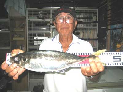 2012年8月11日（土）若狭湾でアジの45.0cmを釣られました