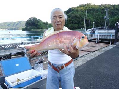 2012年9月12日（水）若狭湾でアマダイの47.0cmを釣られました