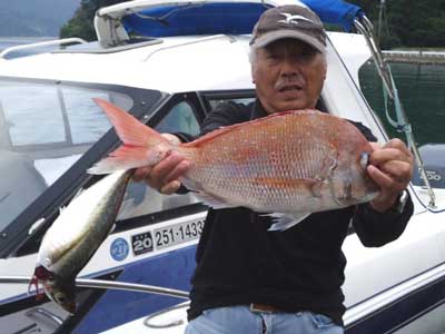 2012年10月14日（日）若狭湾で鯛の50.5cmを釣られました