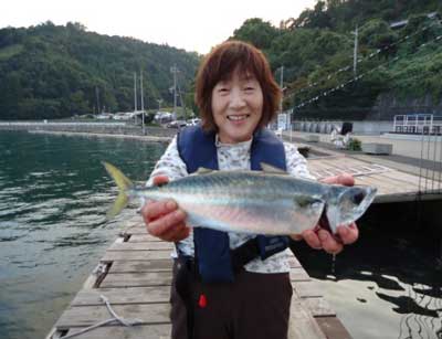 2012年10月21日（日）若狭湾で鯵を釣られました