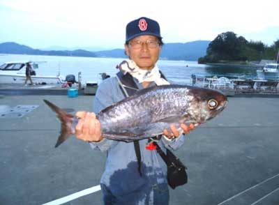 2012年10月27日（土）若狭湾でメダイの70.0cmを釣られました