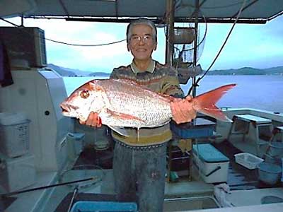 2012年12月15日（土）若狭湾で鯛の66.0cmを釣られました