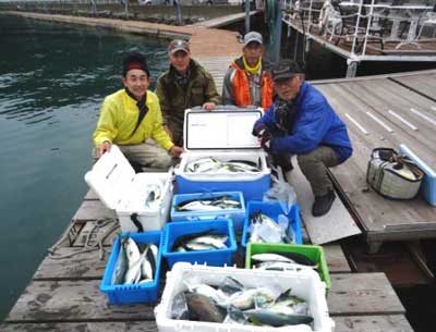 2013年1月13日（日）若狭湾でチダイやハマチやレンコを釣られました