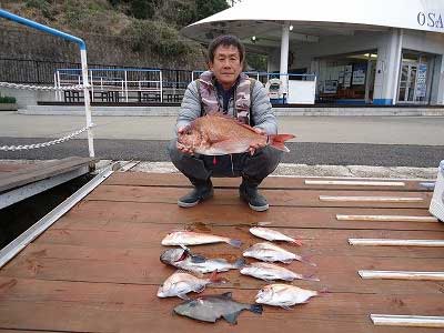 2013年3月17日（日）若狭湾で鯛やアマダイやソイを釣られました