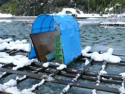 海面の雪が溶けないシャーベット状となっております